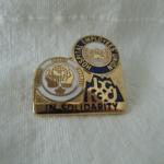 Solidarity pin 91020 $4.50